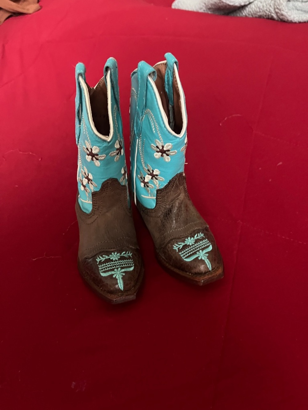Turquoise and Brown Embroidered Kids Western Boots
